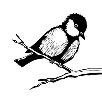bird on branch silhouette on white background, vector illustration
