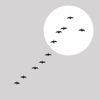 flying ducks silhouette on solar background, vector illustration