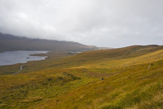 rural landscape in north scotland with lake and wetland