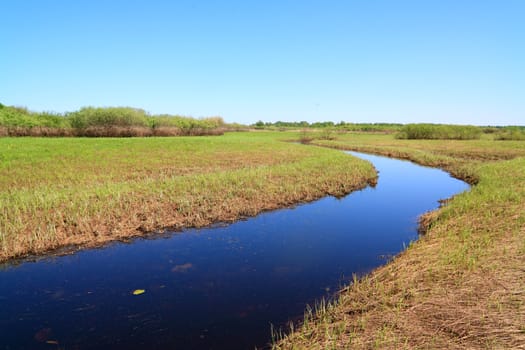 small river on spring field