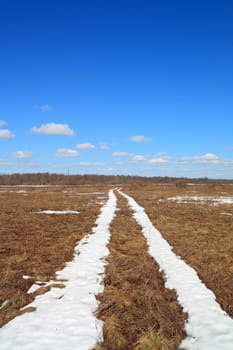 snow road on yellow herb