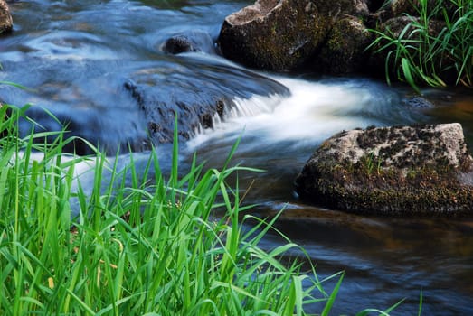 spring flowing brook, detail flowing water between stones and grass