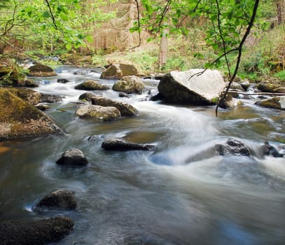 spring flowing brook, detail flowing water between stones and grass