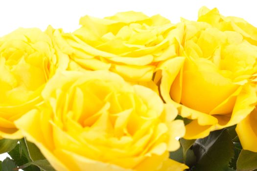 Beautiful bunch of yellow roses