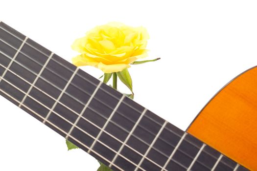 Beautiful yellow rose with guitar