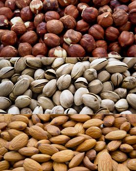 Different nuts (almonds, cashews, and filbers) close up