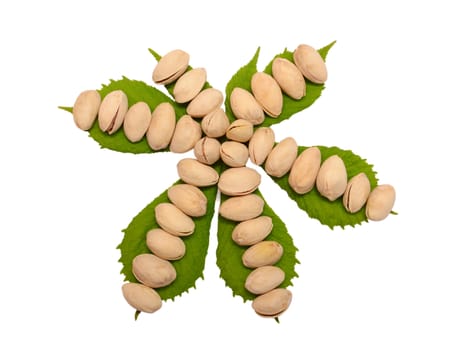 Pistachio nuts Isolated on a white background