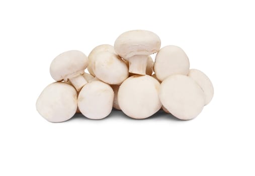 mushroom Isolated over white with clipping path 