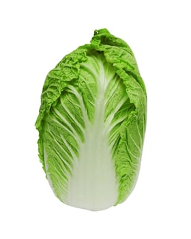 Chinese cabbage on white background 