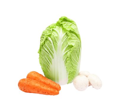 carrots, mushrooms, cabbage on a white background