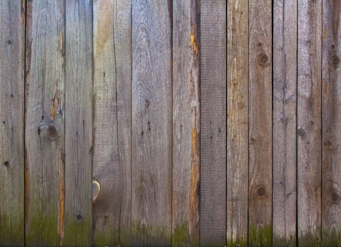 Painted wood texture