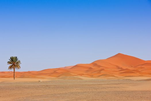 Beautiful Desert Landscape. Sahara, Morocco.