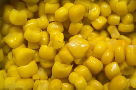 boiled corn texture close-up