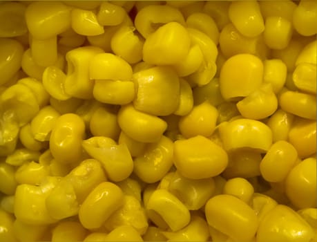 boiled corn texture close-up