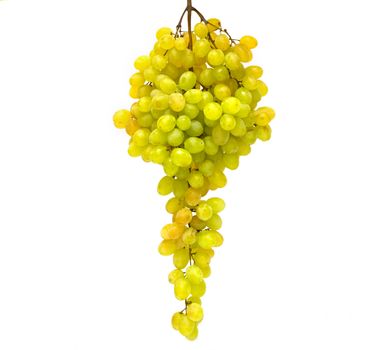 Grapes on a white background