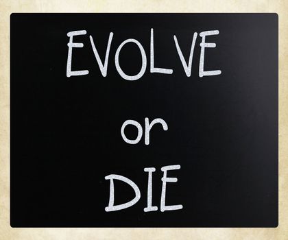 "Evolve or Die" handwritten with white chalk on a blackboard