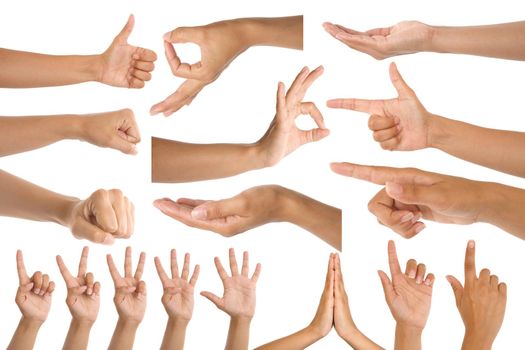 woman hand gestures isolated on white background 