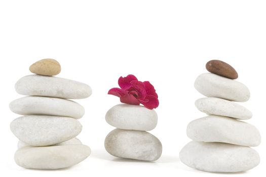 zen stones with red flower on white 