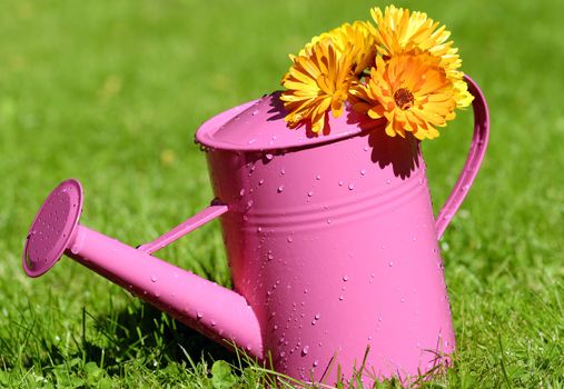 watering can covered with flowers