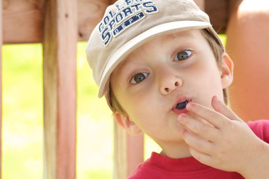 Cute little boy eating a blueberry
