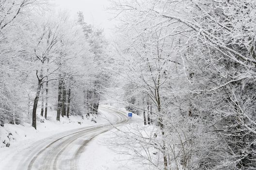 a snowy road in the forest