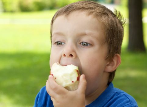 Little boy biting in an apple