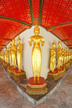 Row of the golden standing Buddha  image by fisheye views in temple, Thai. 