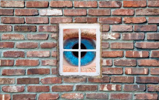 blue eye behind a window