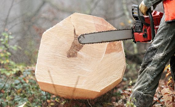 a lumberjack at work