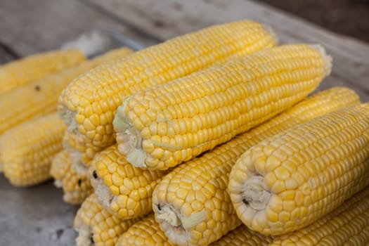 fresh corn