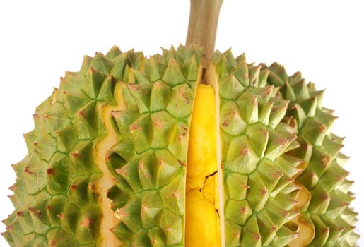 Close up of peeled durian isolated on white background