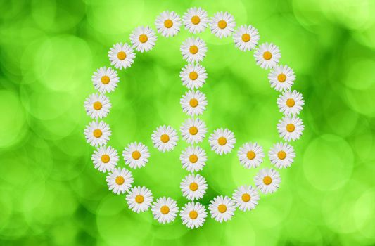 the peace and love  symbol made in daisy flower on green background