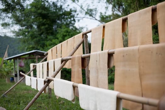 Milk of rubber in thailand