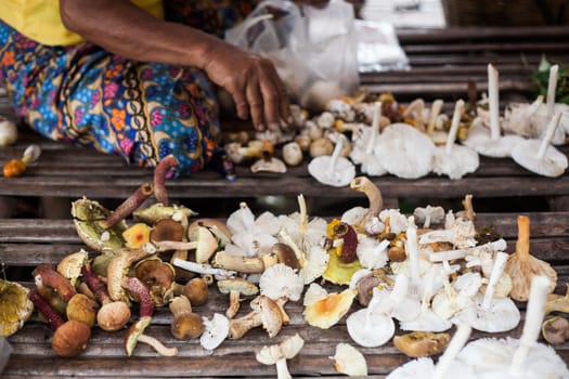 forest mushrooms in Thai street market