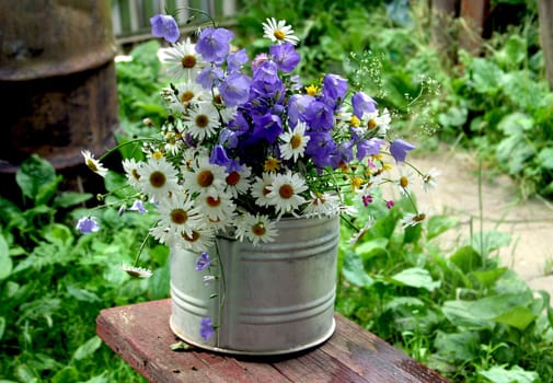 Wild flowers in a bucket