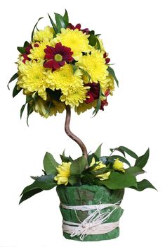 Bouquet from chrysanthemums as a tree on a white background