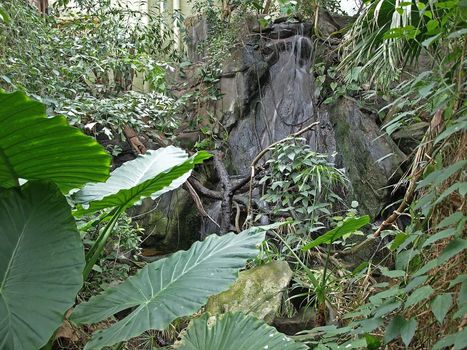 a man made rainforest and waterfall with tropical plants