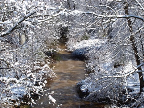 A creek in the winter of the year