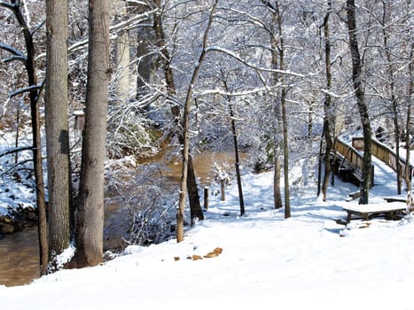 A scene by the creek after a winter storm