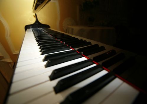 Grand piano ebony and ivory keys