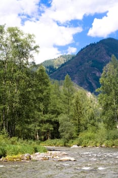 Mountain panorama: sky, clouds, river and forest 
