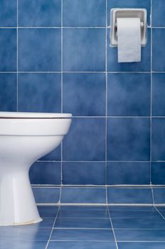 White ceramic sanitary ware and tissues in Blue bathroom