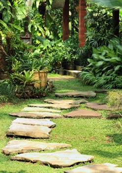 Natural stone path in a natural garden