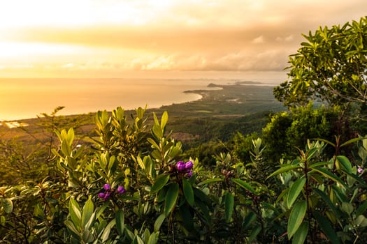 view from the din sor Hill Chompron province Thailand