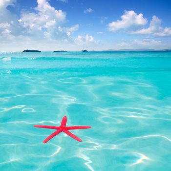 Red starfish floating on perfect tropical sea in ripple beach