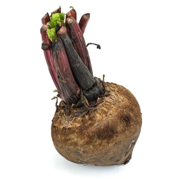 beetroot isolated on white background