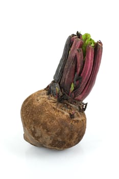 beetroot isolated on white background