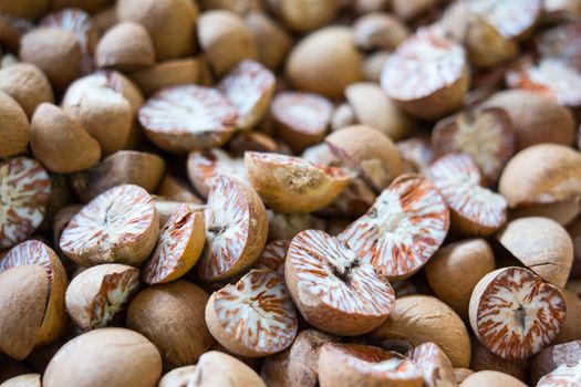 Betel Nut or Areca Nut background, selective focus.