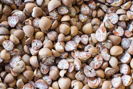 Betel Nut or Areca Nut background, selective focus.