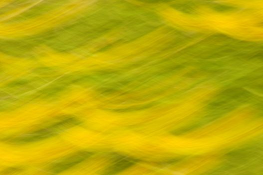 Motion blur abstract
